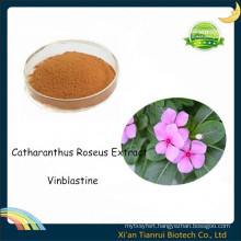 Vinca Rosea Extract, Catharanthus Roseus Extract Vinblastine